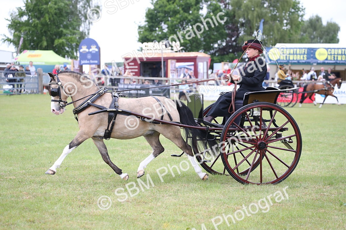 SBM_05836 - Class 12-15 - HOYS Private Driving