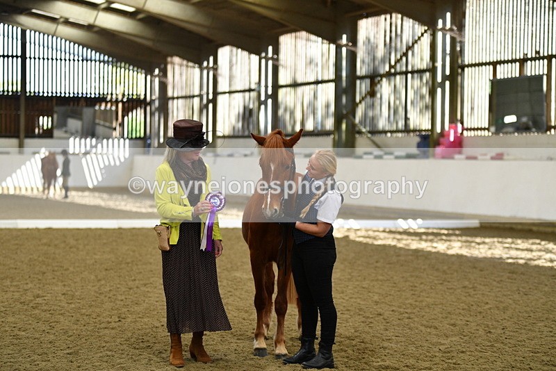 WJ5_4162 - Class 2 Best Condition In hand