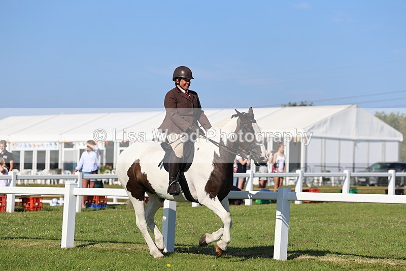 IMG_1478 - Class 30: Ridden Native/Trad Coloured Pony