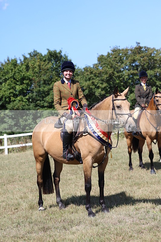 3E7A6468 - Working Hunter Championship