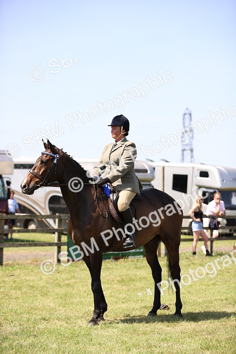 SBM_14987 - Class 78 - LIHS BSHA Open Racehorse & Show Horse