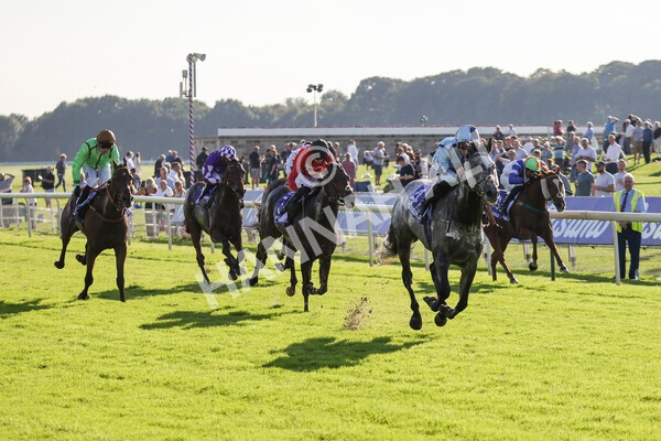 yr08102021r3-22 - Race 3 3.15pm Download The Casumo App Today Handicap