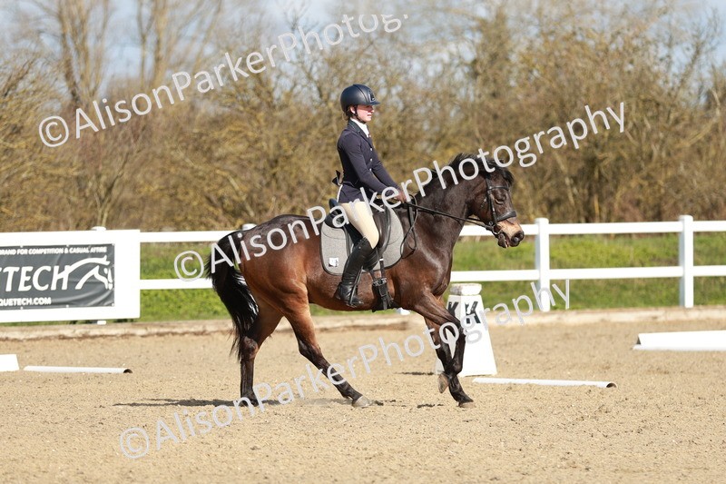 20260314-4327 - DR4 - Prelim 2