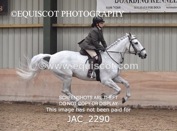 JAC_2290 - CLASS 2 Novice Working Hunter