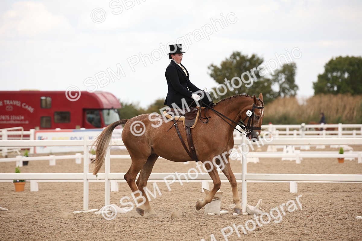 SBM_05341 - Class 22 SSA Equitation