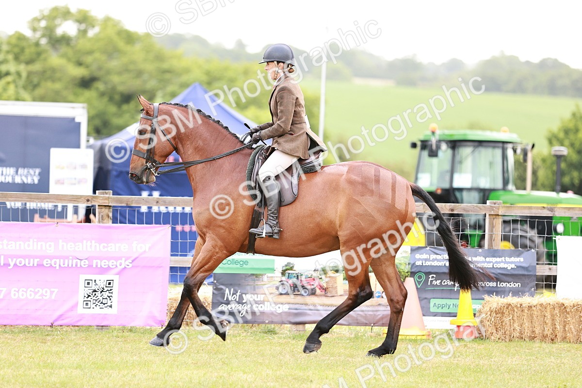 SBM_10776 - Class 81-84 - RIHS Ridden hunters Inc Ladies Hunter