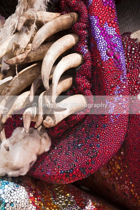 20100723_1777 - Miscellaneous Photographs