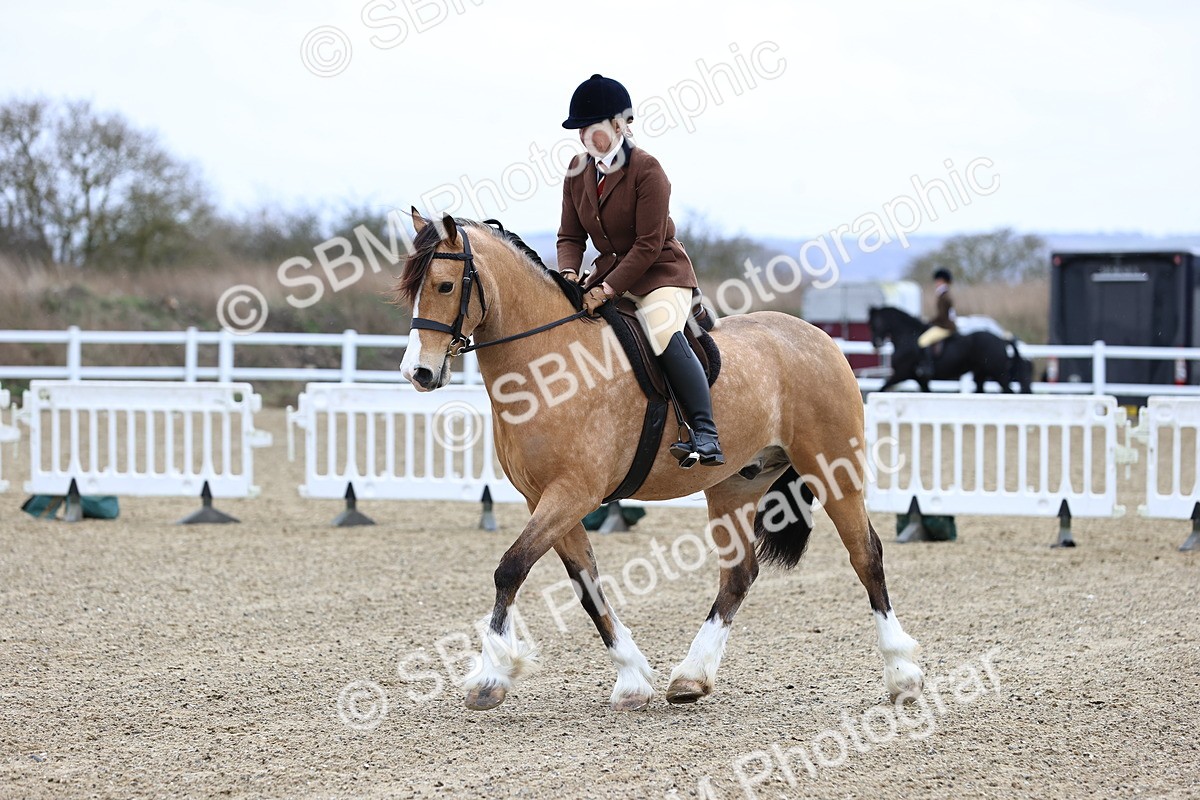 SBM_007007 - Class 29 - 30 - M&M Pure Novice Small-Large Breeds