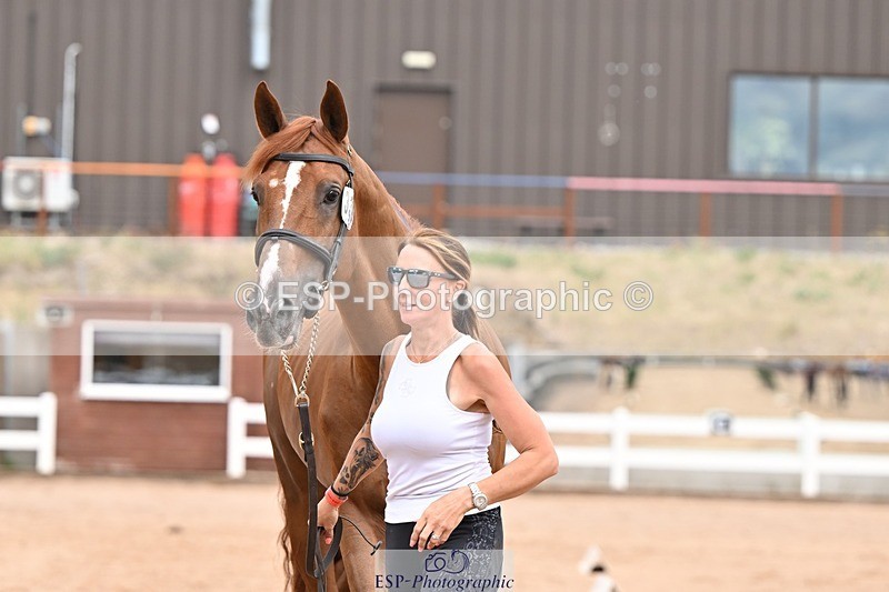 250716-153254-02001 - Trot Up 3.30 to 4.30