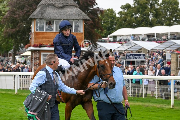 210824-Race 4-City Of Troy-5228 - Race 4 3.35pm Juddmonte International Stakes