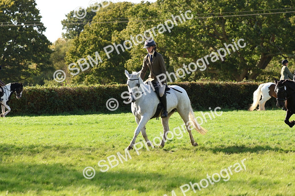 SBM_52427 - S13 - Pony Club Pony