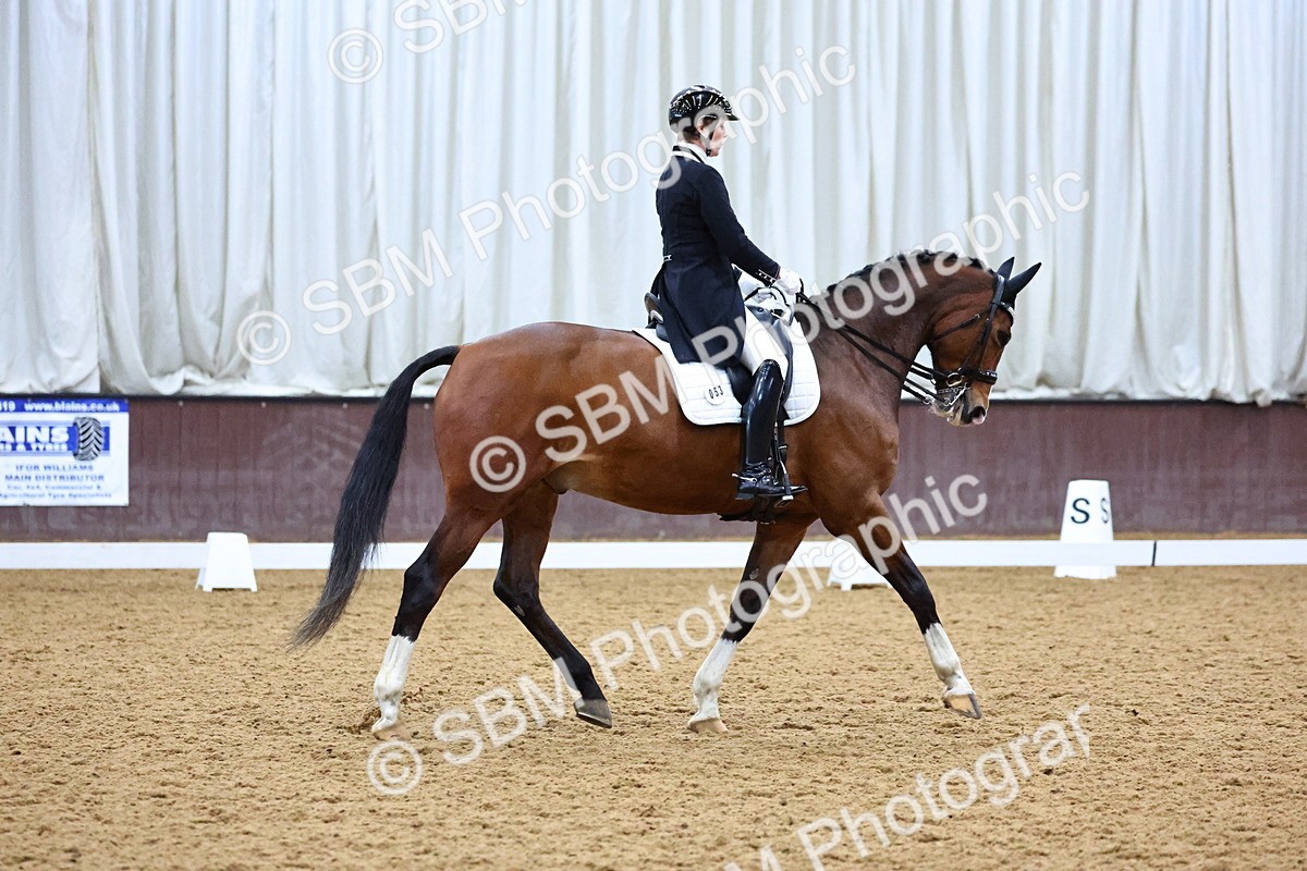 SBM_002554 - Class 23-25-26 - FEI PSG FEI INTI FEI Pony Team Test