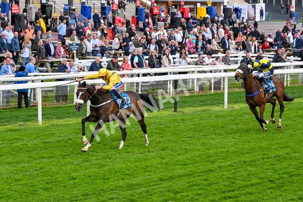 150524-Race 7-Dancing In Paris-4730 - Race 7 5.20pm Stuey Weston & Friends Getting Out Handicap