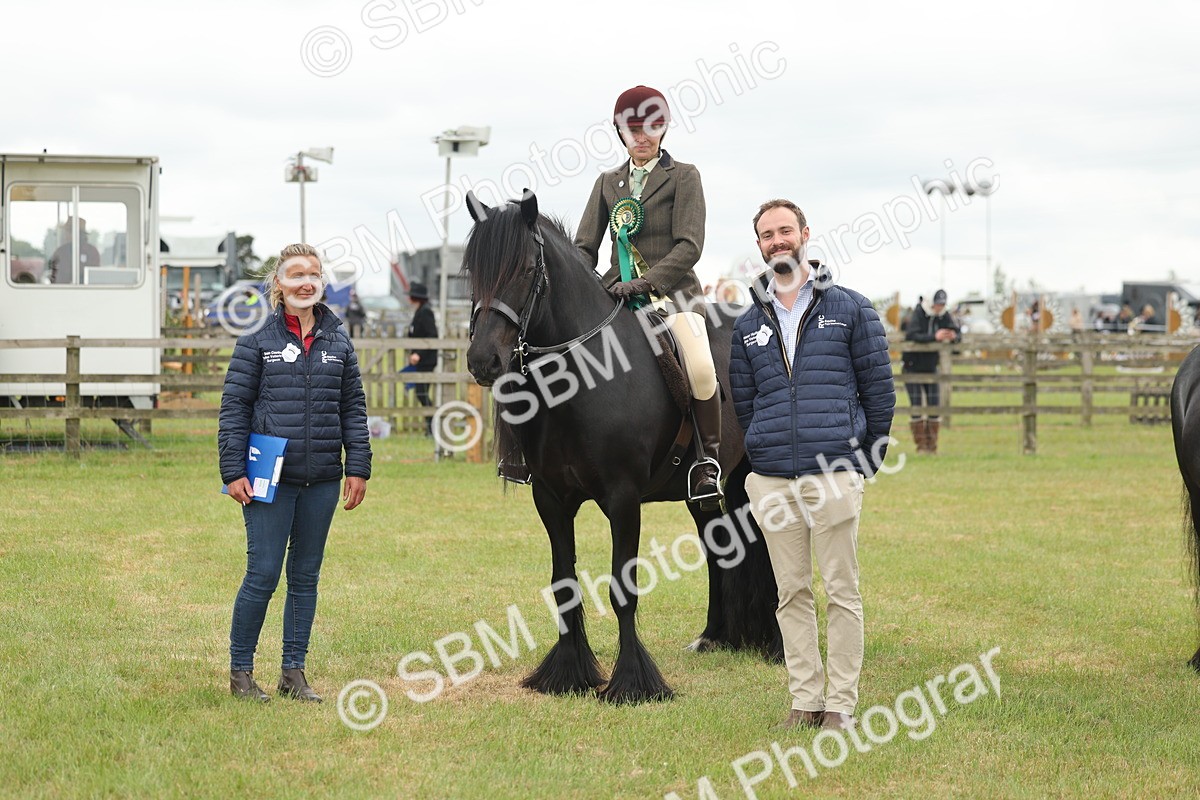 SBM_09048 - Class 78-80 - Ridden M&M Non Welsh Ponies