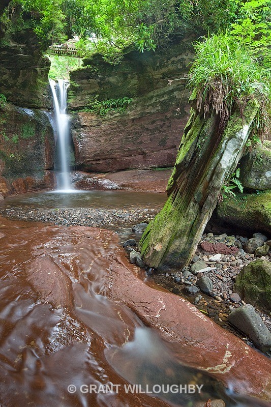 Waterfall Kelburn by Largs - Woods Trees Gorges and Waterfalls