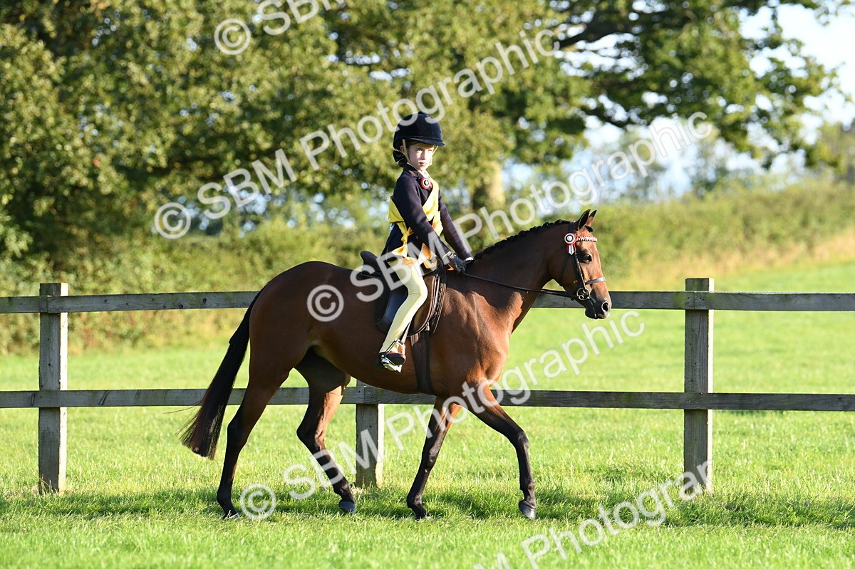 SBM_56419 - 1st Ridden Supreme Championship