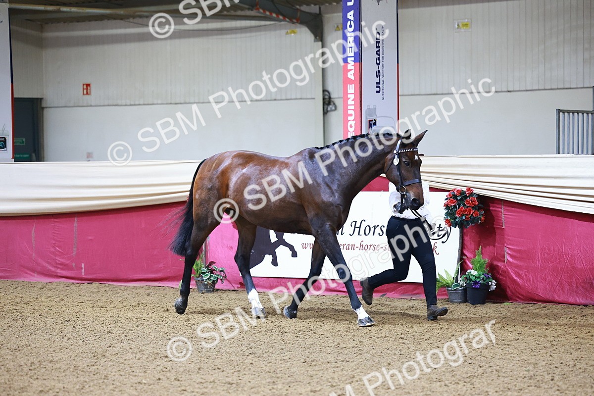 SBM_21652 - Class 901 - Supreme Final - IH  Diamond