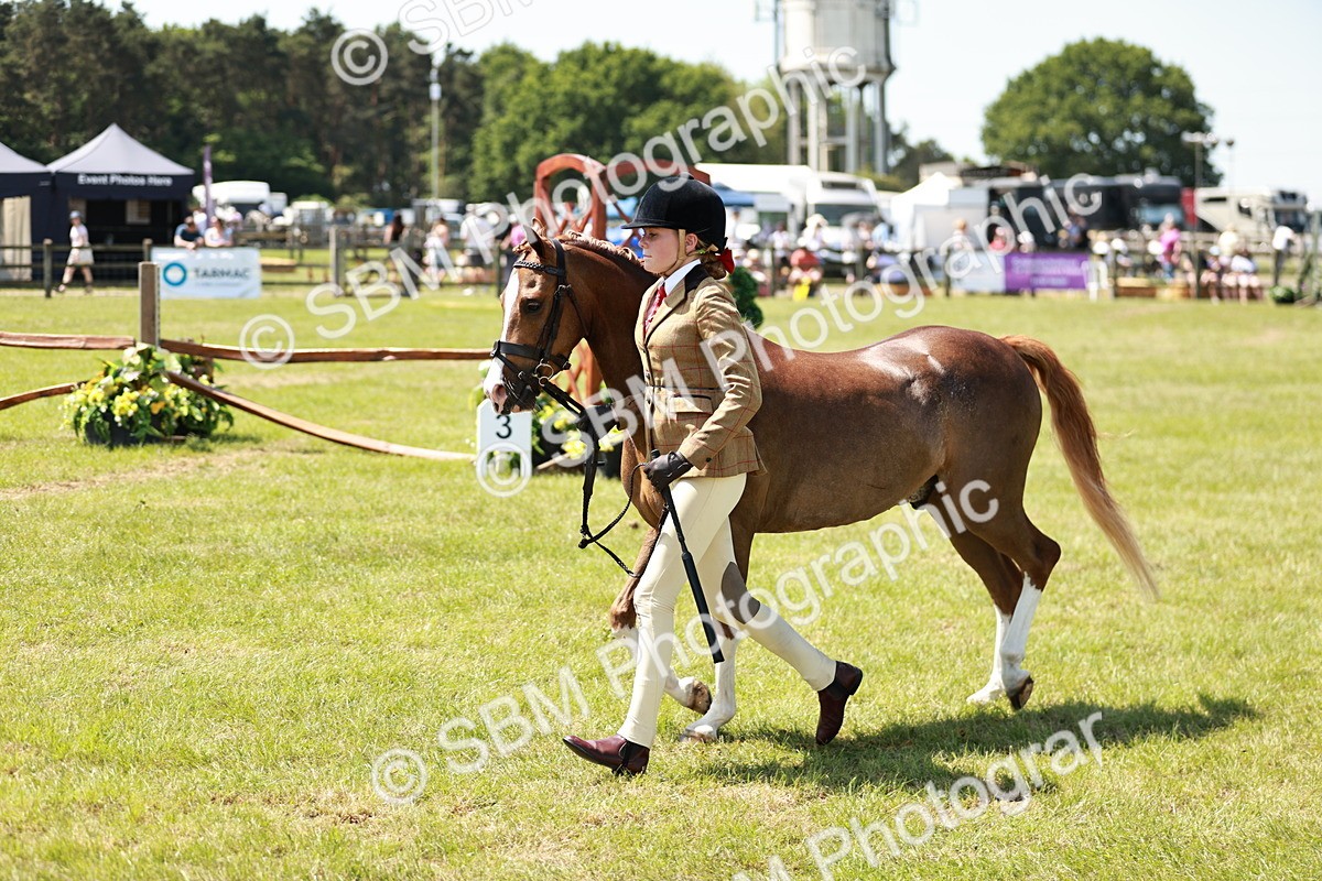 SBM_15691 - Class 108-109 - BSPS LIHS Open Gradle & Nursery Stakes