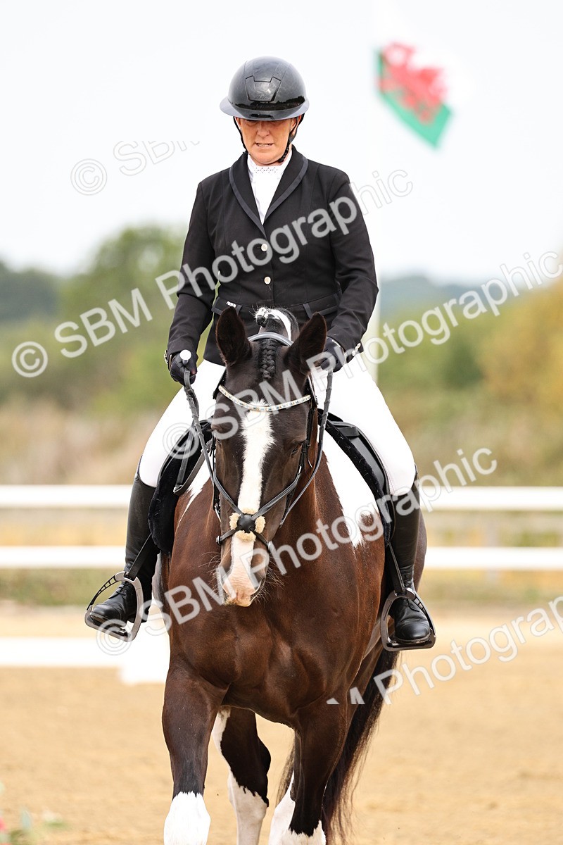 SBM_011406 - Class 1 - Prelim 4