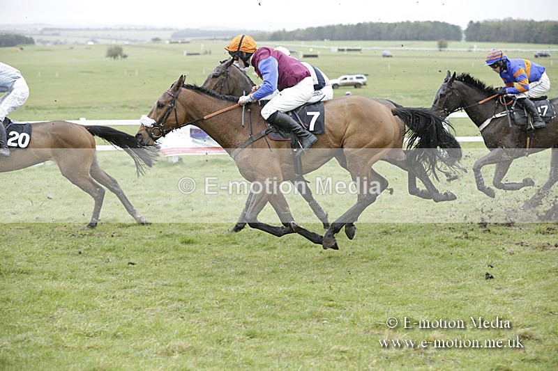 PtP 150320 0212 - New Forest Point-to-Point Larkhill 15/03/20