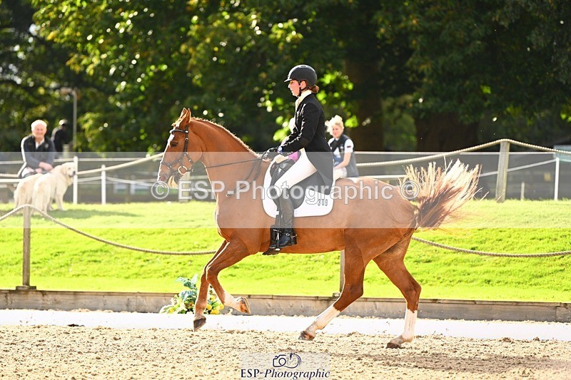 231020-144225-10025 - 309-CROSSTOWN.FINTANS.LAST-Catherine.Burrell-DR