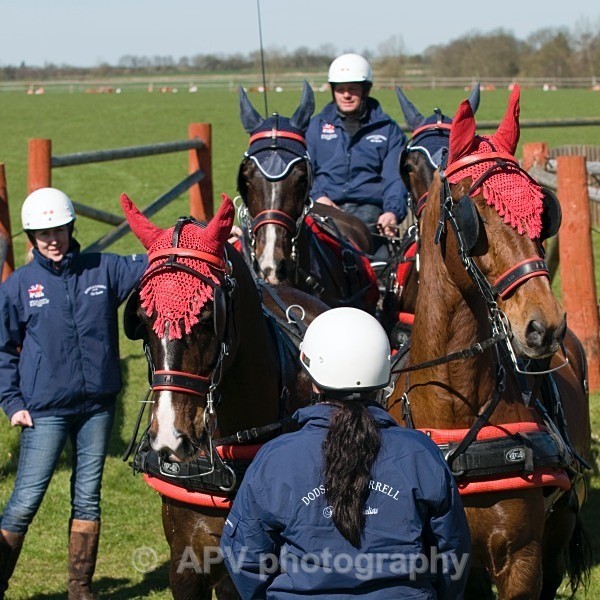 _DSC0190 - Ashfields Carriage & Polo Club