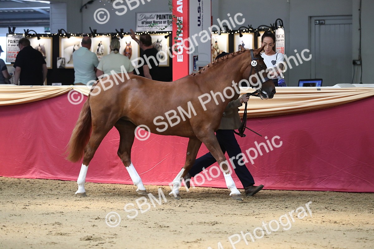 SBM_04344 - Class 7R Regional - IH Diamond