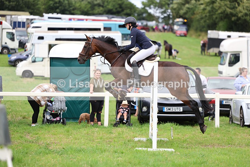 3E7A7258 - Class 5: Senior British Novice/90cm open