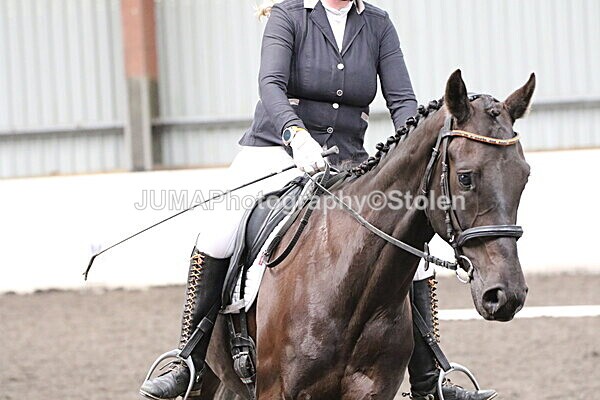 SIAL5363 - CAbin Dressage 5th july 2025