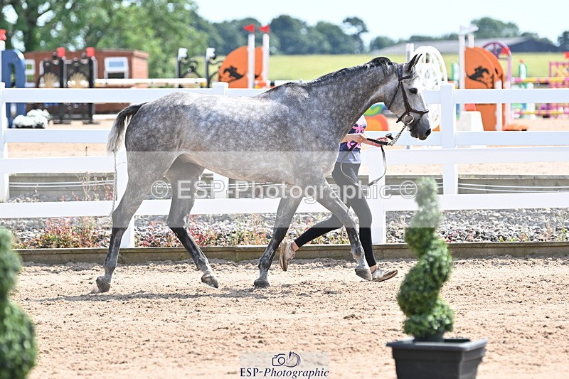 240717A-150543-02531 - Trot Up 3pm to 4pm