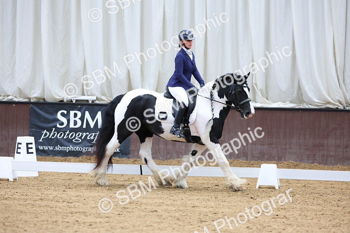 SBM_002267 - Novice 2