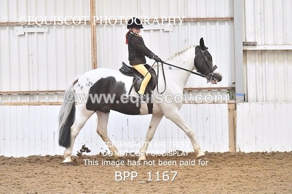 BPP_1167 - RING 2