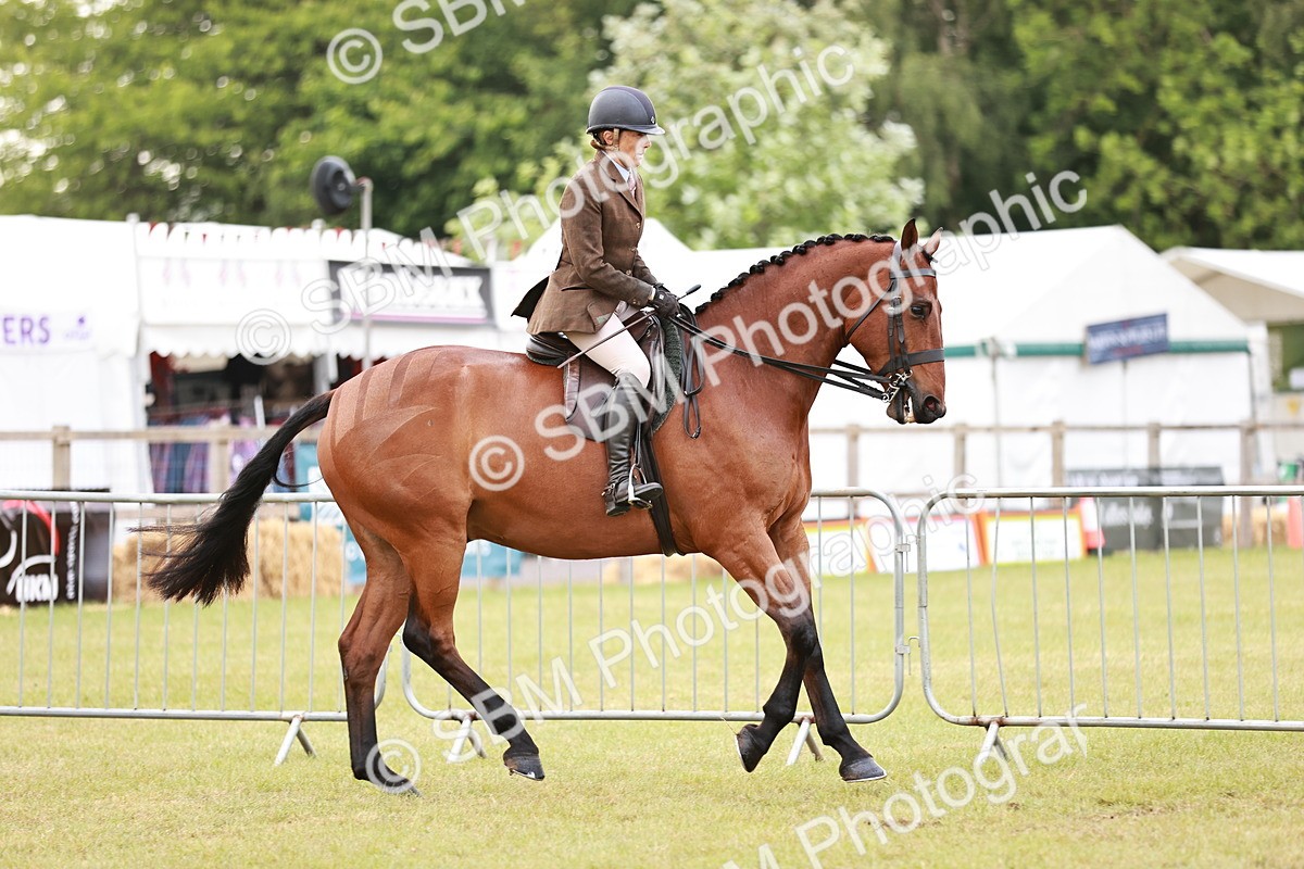 SBM_10769 - Class 81-84 - RIHS Ridden hunters Inc Ladies Hunter