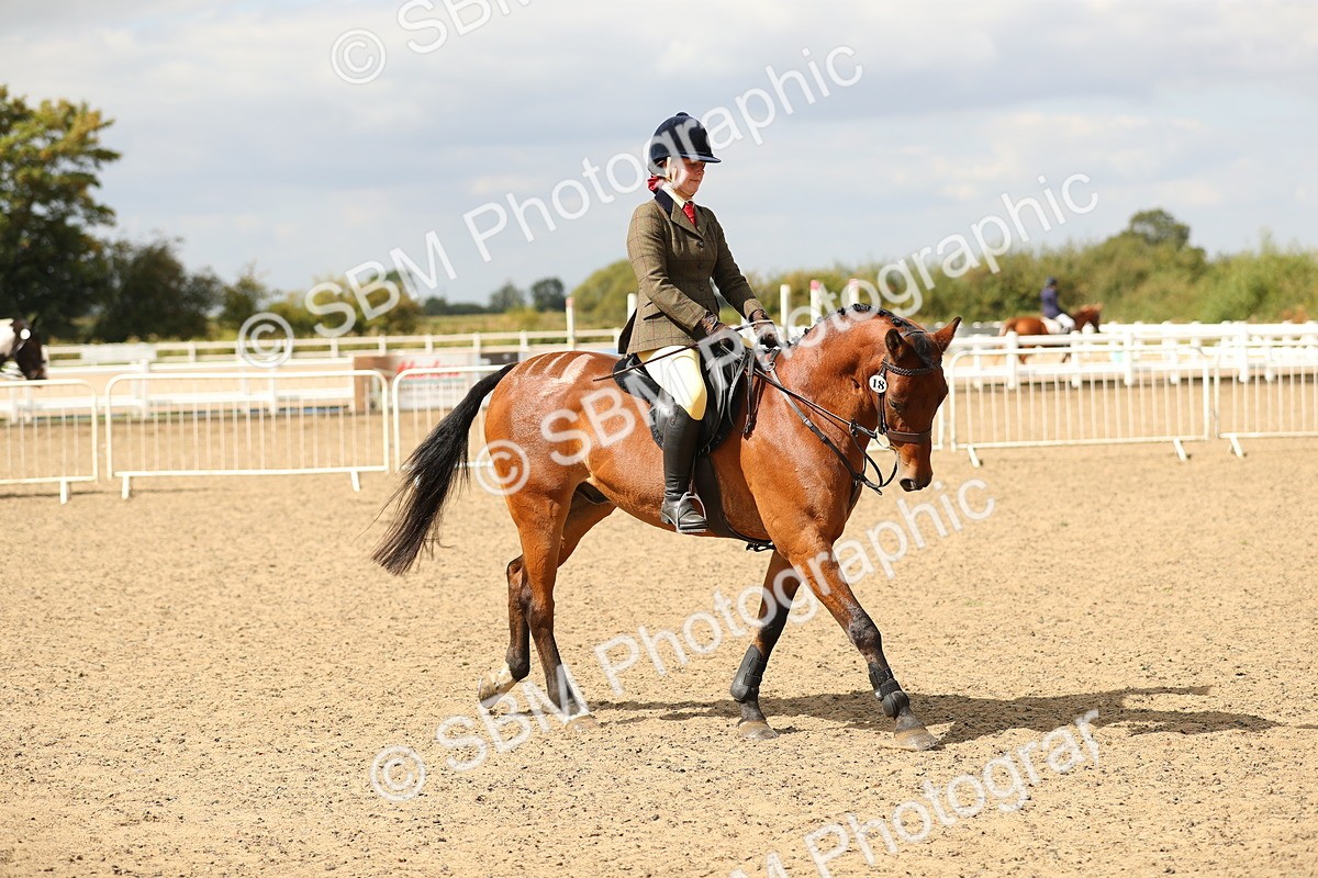 SBM_04853 - Class 47a Style & Performance 60cm (15-19)