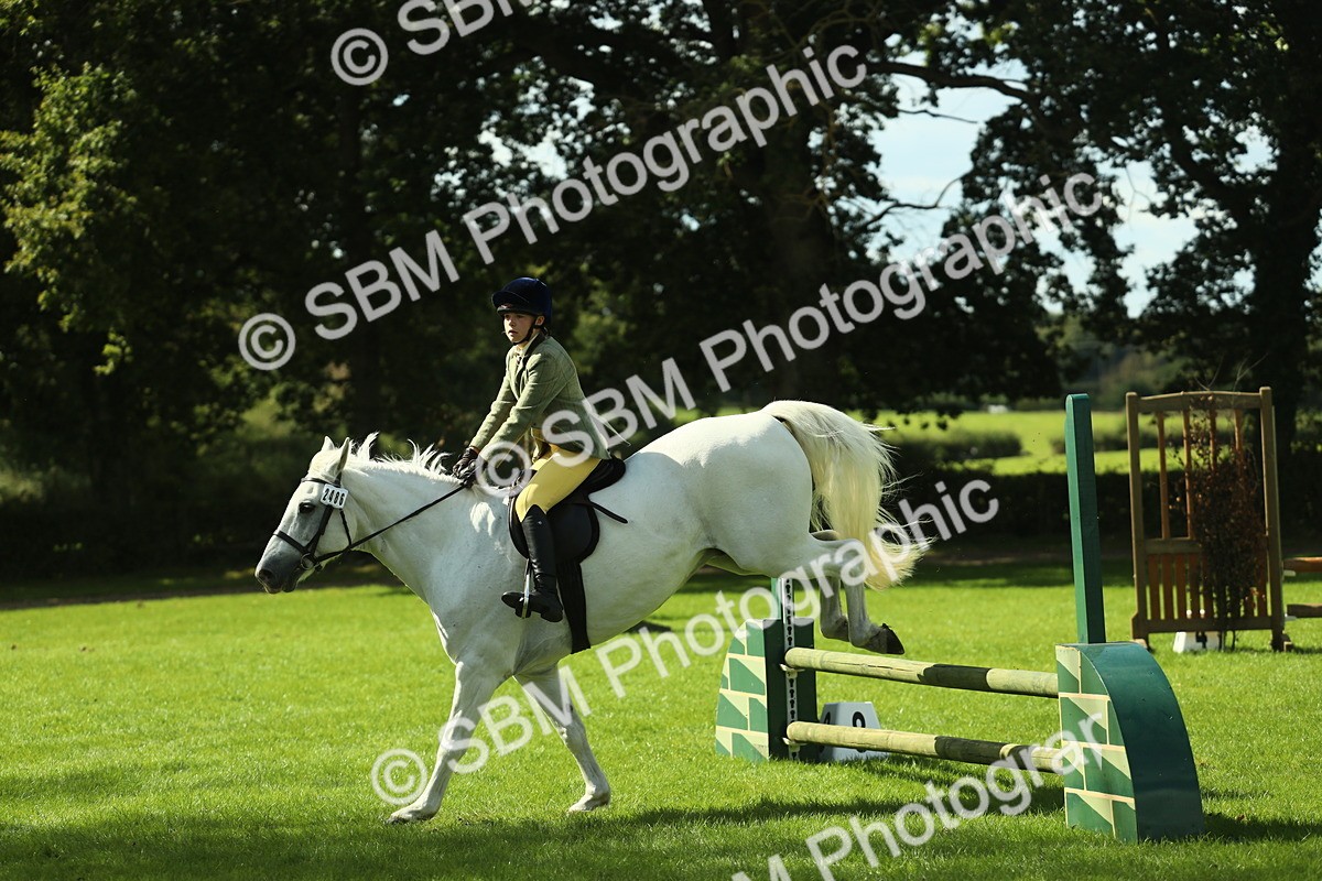 SBM_44550 - S30 - M&M Working hunter Pony