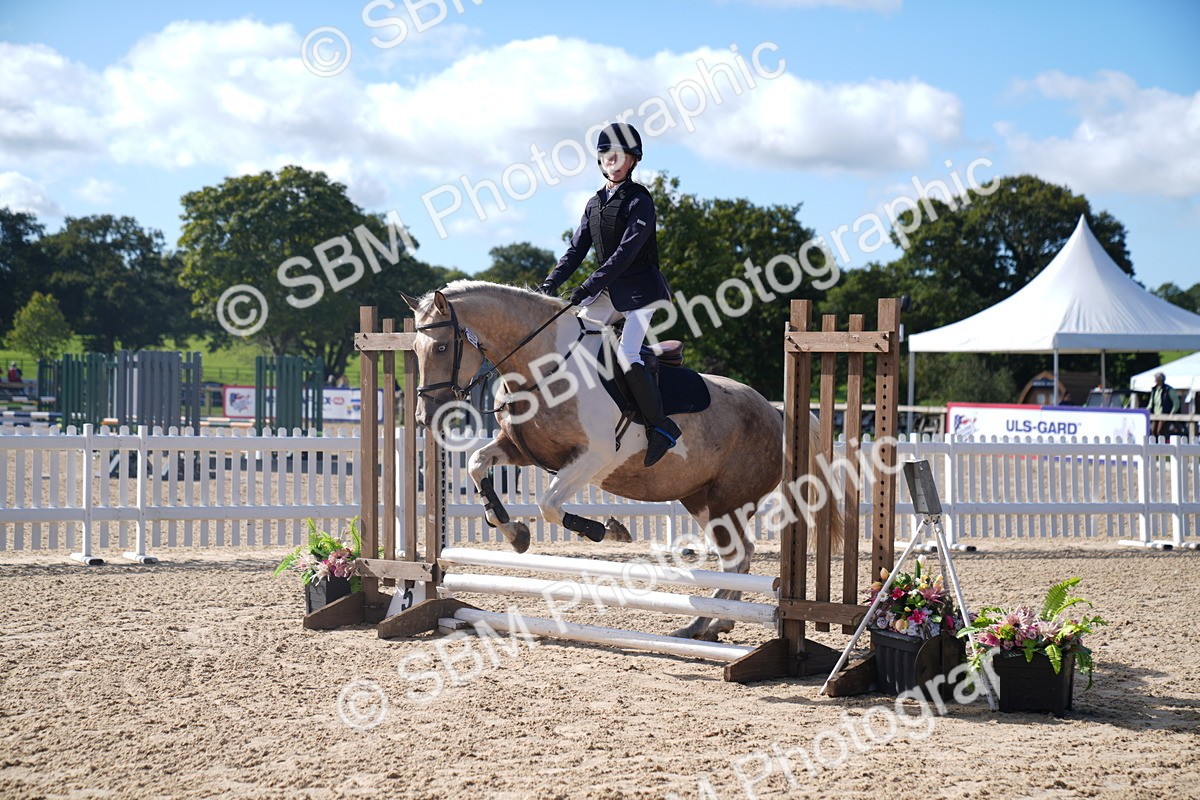 SBM_02387 - J54 Clear Round 45cm