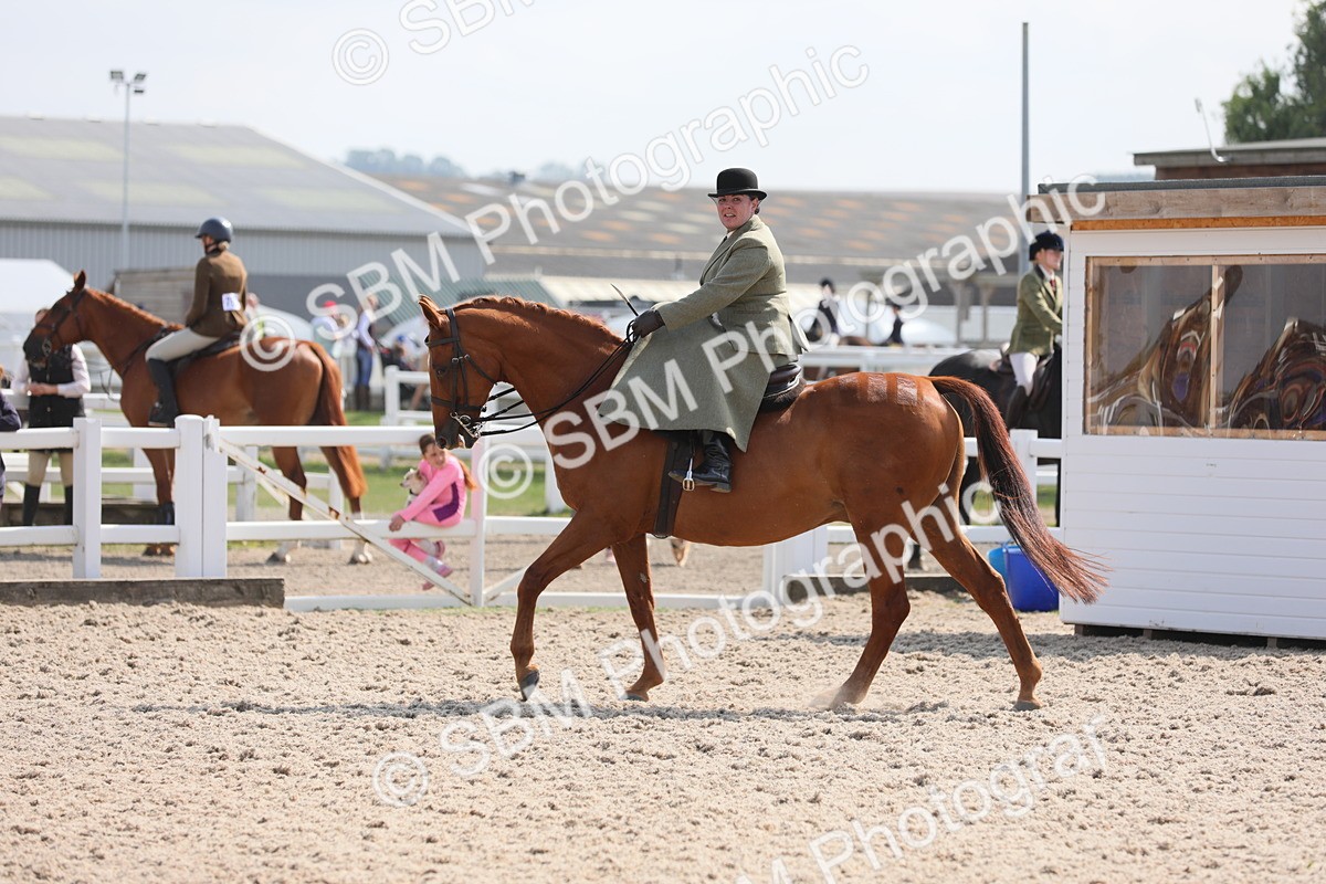 SBM_14580 - Class 211 Best Side Saddle Horse/Pony
