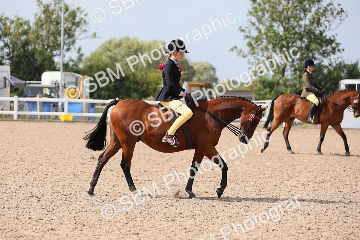 SBM_15562 - Class 311 Ridden Show Pony/ Show Hunter Pony