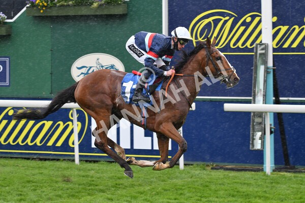 yr22052021r3-27 - Race 3 3.15pm William Hill Extra Place Races Stakes