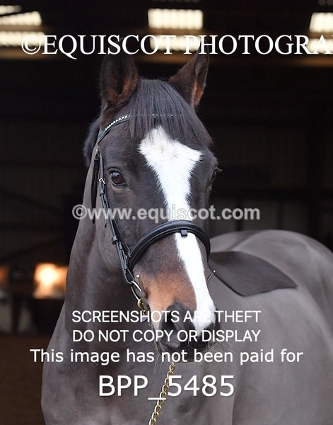 BPP_5485 - Morag Johnston