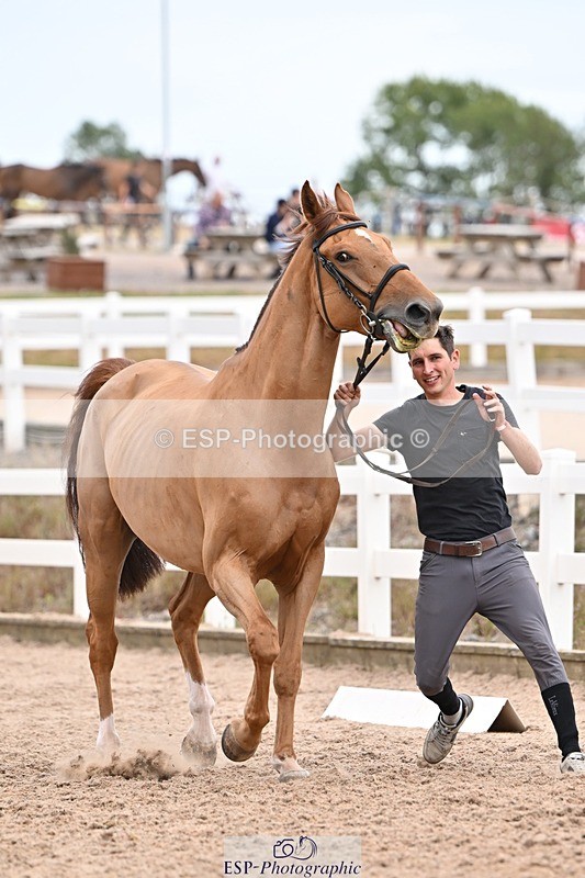 250716-155212-02248 - Trot Up 3.30 to 4.30