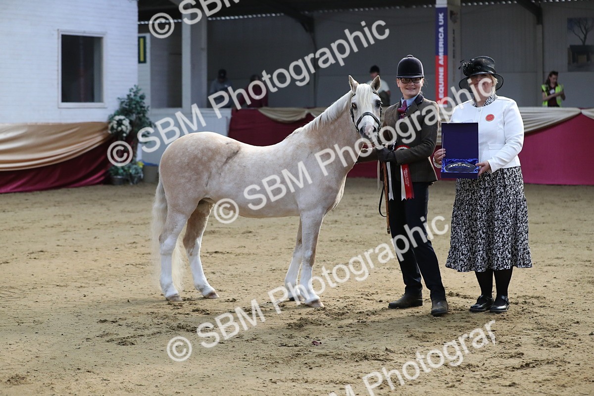 SBM_00350 - Class 1a - Area IH Diamond