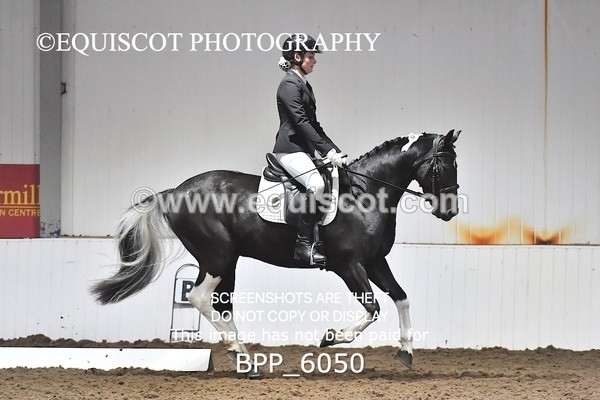 BPP_6050 - ELEM TEST 4