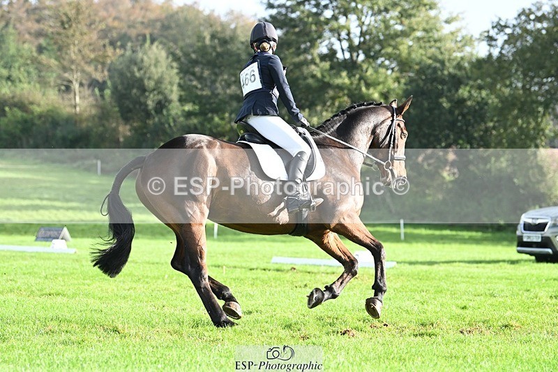 231020-095901-05826 - 466-SPARHANGER.VELVET-Tichy.Sanders-DR