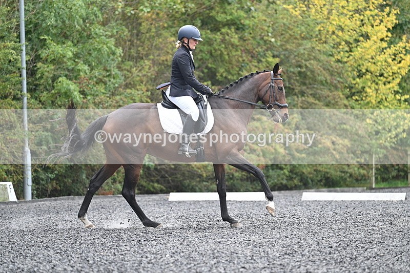 WJ7_3902 - Time 11:04 to 11:38