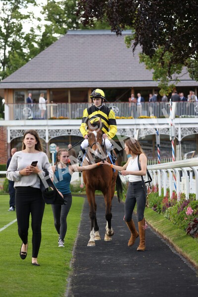 yr10062022r7-27 - Race 7 5.10pm Andy Thornton Hospitality Furniture Stakes