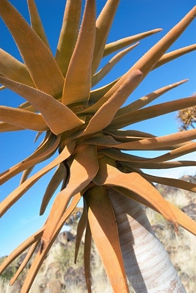  - Namibia