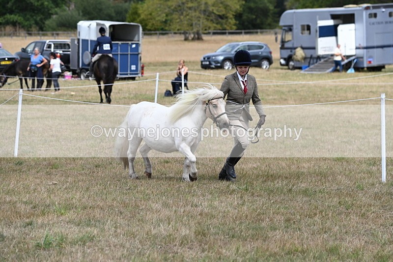 WJ6_5939 - Class 19 In-hand Veterans (Uploaded correct folder)