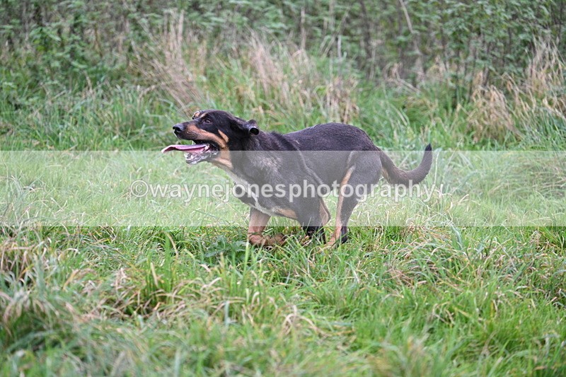 WJ7_8959 - Camera 1 only on this line