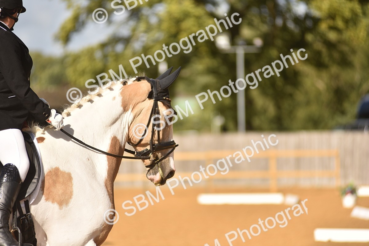 SBM_24342 - D4 - Small Tour Championship Intro 4
